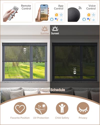 Smart home Alexa hub