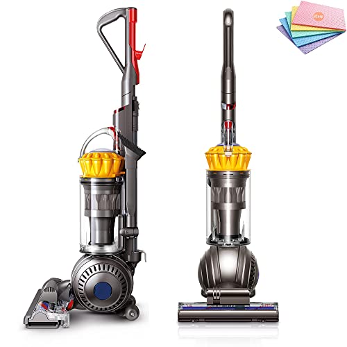 How to Clean Dyson Vacuum Filter (Maintain Its Peak Performance)