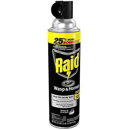 Raid Wasp And Hornet Killer, 17.5 Oz (Pack - 3) #TOP3