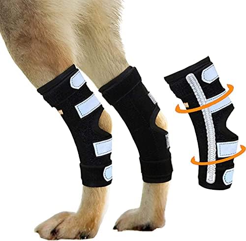Neoally dog rear leg braces Outlet