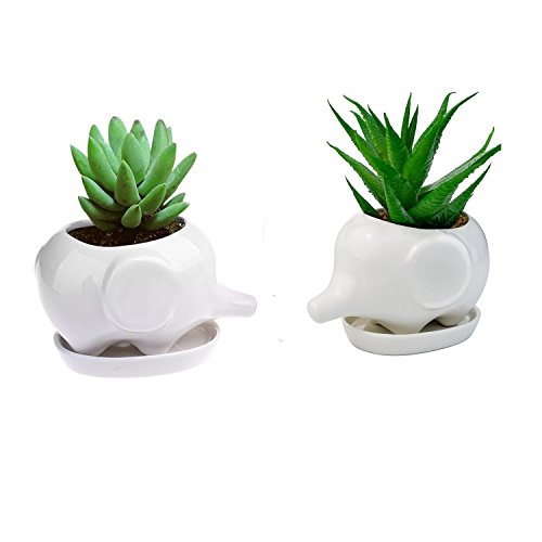 WISH HALLY WOOD Set of 2 Cute Elephant Flower Pot,Modern White Ceramic Succulent Planter Pots/Tiny Flower Plant Containers (Elephant)