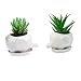 wish you have a nice day Set of 2 Cute Elephant Flower Pot,Modern White Ceramic Succulent Planter Pots/Tiny Flower Plant Containers (elephant)