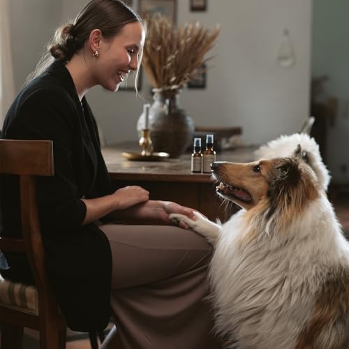 Wundsalbe für Hunde – natürlicher Balsam, mit Aloe Vera und pflanzlichen Ölen, regeneriert und lindert Juckreiz, mit Hyaluron und Zink, FIRST AID BALSAM von LILA LOVES IT, 30 ml