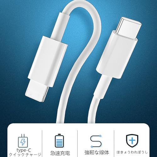 RuiMi USB C ケーブル【PD対応/高耐久】 60W 急速充電 USB Type C to C ケーブル データ転送 高耐久性 断線防止 Type C to Type C 映像出力不可 けーぶる for iP-hone 16/15 Pro/Plus/Pro Max、MacBook Pro/Air、iPad Pro/Air、Gal-axy、PixelなどTypeC機種対応（白い 2M）