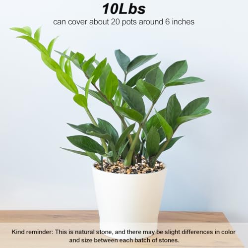 Image of Fish Tank Rocks,Virekm River Rocks, Decorative Ornamental Pebbles Garden Landscaping Stones Gravel Filler for Home Decoration Flower Bed Fish Tank Plants Vases Succulents (10 Pounds)
