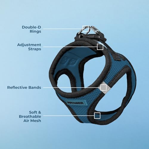 Voyager All Weather No Pull Step-in Mesh Dog Harness with Padded Vest, Best Pet Supplies, Small, Blue Base - Image 5
