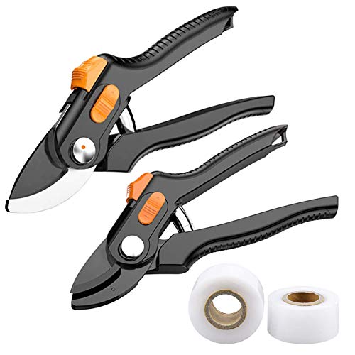 Cesoie A Cricchetto, Forbici A Cricchetto Giardinaggio, Forbici Potatura Professionali Con Impugnatura Ergonomica Per Tagliare Steli E Rami, Adatte Per Giardinieri, 2 Pezzi