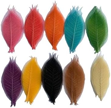 100 Pcs Mixed Colors Skeleton Leaves Rubber Tree Natural Scrapbook Craft Card Wedding