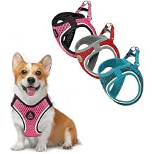 DOCO Adjustable No-Pull Dog Harness Bundle Lightweight Reflective Air Mesh Vests for Small & Medium Dogs Gray, Red Small, and Pink Medium Chest 14.5"-17", Weight 6-15 lbs