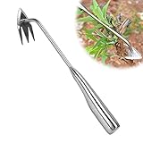 Amposei Stainless Steel Multifunctional Weeder, Hand Weeder Tool Stand Up Weed Puller Tool with Long Handle, V-Shaped Light Duty Hand Weeder for Lawn Garden Yard Farm Weed Removal (Stainless Steel)