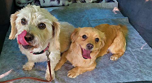 NETTA Protezione Tronco e coprisedili monouso - Confezione da 9 Pezzi