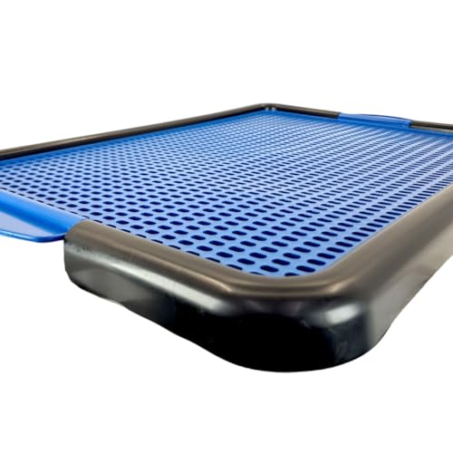 2x Sanitário Pet Para Cachorro Com Bandeja de Xixi Higiênico (Azul, Médio)