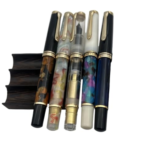 Stylo plume à piston en acrylique pour sublimer vos carnets de notes et projets créatifs - 2