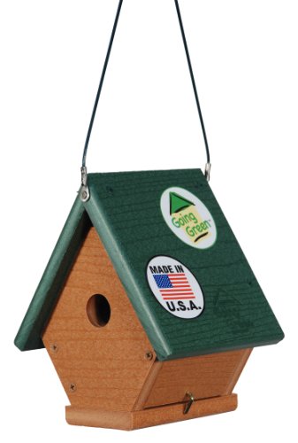 Woodlink Going Green Wren House Model GGWREN Brown and Green, 8.25