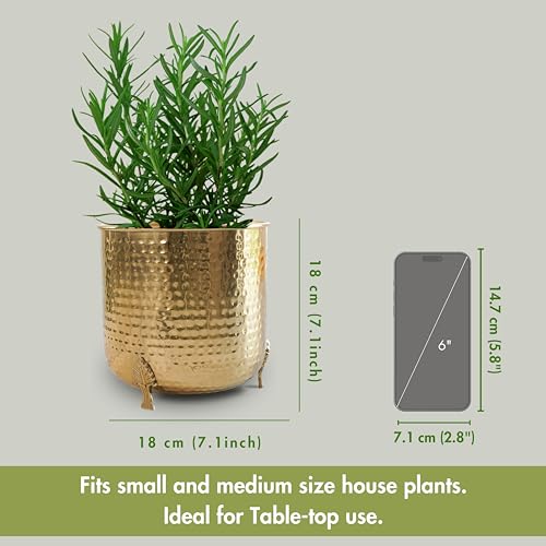 Image of BEHOMA Hammered Gold Metal Planter 7 inch Tabletop Plant Pot | Pot for Indoor Outdoor Balcony Living Room | Table Plant Pot with Leaf Leg for Gifting