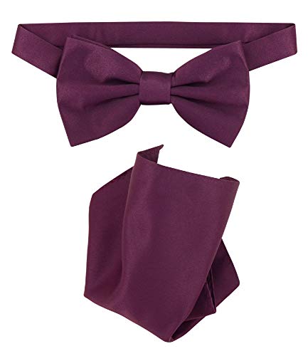 Vesuvio Napoli BowTie Solid Eggplant Purple Color Mens Bow Tie & Handkerchief