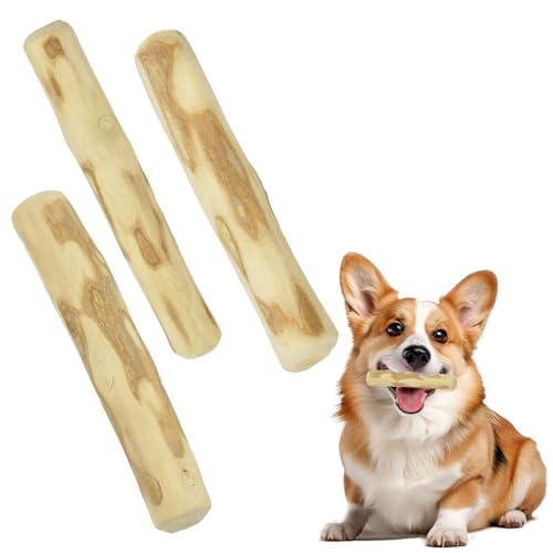 JNEYVIC 3 Stück Kaffeeholz für Hunde Kauholz für Welpen 16 x 2cm Welpen Spielzeug Holz Hundespielzeug Unzerstörbar Kleiner Kauspielzeug Hund Spielzeug zum Kauen für Hundewelpen Starke Kauer