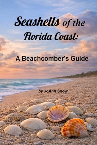 Seashells of the Florida Coast: A Beachcombers Guide