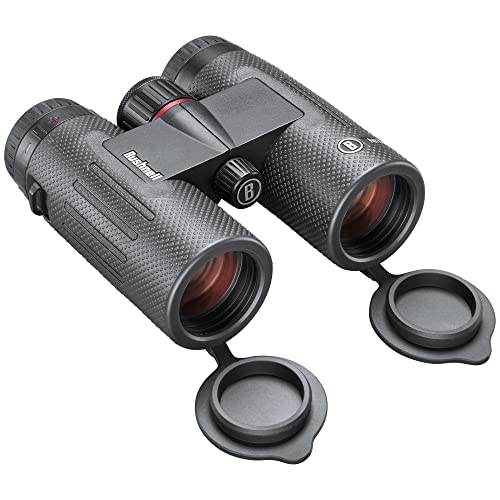 Image of Bushnell 10x36mm Nitro Binocular Black Roof
