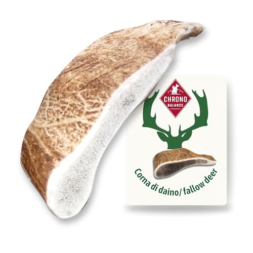 ChronoBalance-M Corno di Cervo Daino per Cani, Confezione da 1, 100% Naturale, Osso di Cervo, Cura Dentale, Giocattolo per Cani, Ricco di Minerali e Nutrienti, Lunga Durata