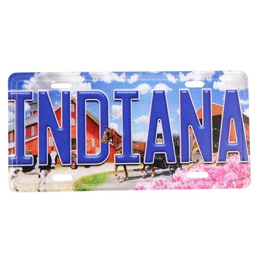 Imán Decorativo Rectangular Diseño Indiana 3.4 x 1.75 in miniatura 1