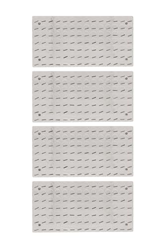 Image of Eisco Labs Magnetic Field Demonstrator - Set of 4 Plates