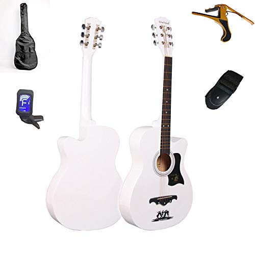 M^[ NVbN AR[XeBbN S҃Zbg lC M^[ y K 38C` w lp  僌x  `[i[ t M^[ (38C`, zCg)