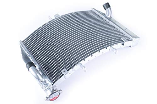 Imagen de avdb-moto Radiador de Agua compatible con KAWASAKI ZX6R ZX-6R ZX6-R ZX600P 2007-2008 Plata Racing de Recambio