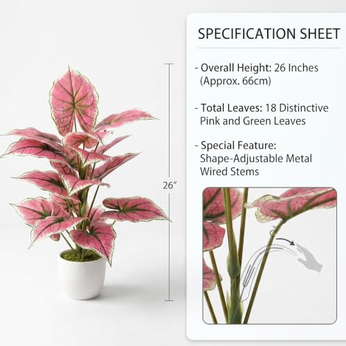Image of Dekorly Artificial Caladium Plant Tree with White Pot 26 Inches | 66CM - Realistic Faux Leaf Plant for Home Decor, Bedroom, Living Room & Office (Pink Caladium | White Pot, Pack of One)
