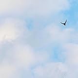  Potari Day I Stopped Waiting