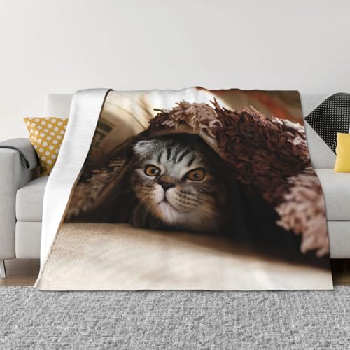 Couverture de lit chat pour des soirées cocooning et nuits douces - 4