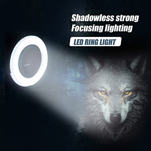 Tiamu Optische Mikroskop Ringlicht mit 144 Perlen, LED Ringleuchte, LED Kamera Ring Microscope, Helligkeit 0-100% einstellbar, Ringlampe Illuminator für Stereomikroskop (EU Plug)