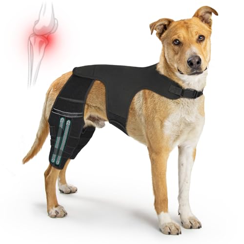 Dog Knee Brace for ACL Tear Recovery - Adjustable Orthopedic Support for Double Legs Joint Stability and Pain Relief - Comfortable Dog Hind Leg Brace for Aging Pets, Arthritis, Post-Surgery Rehab (L)