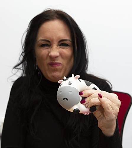 Boxer Gifts Moody Cow Stress Relief Toy | Helps With Anxiety | Novelty Desk Accessory | Funny Birthday Christmas Secret Santa Stocking Filler Gift for Her