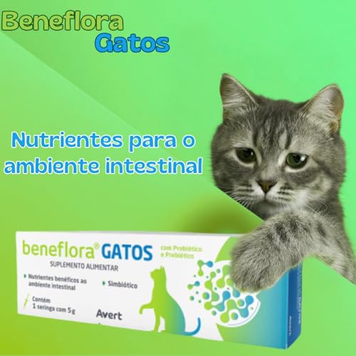 Beneflora Gatos Suplemento Probiotico Prebiotico Avert 5g