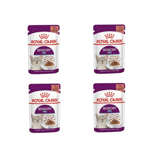 Royal Canin Sensory Feel Nassfutter in Soße für wählerische Katzen | 4er Pack | 4 x 12 x 85 g | Die besondere Textur kann dabei helfen das Mundgefühl von Katzen anzuregen