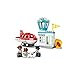 LEGO DUPLO Town Airplane & Airport 10961 Building Toy; Imaginative Playset for Kids; Great, Fun Gift for Toddlers; New 2021 (28 Pieces),Multicolor,One Size