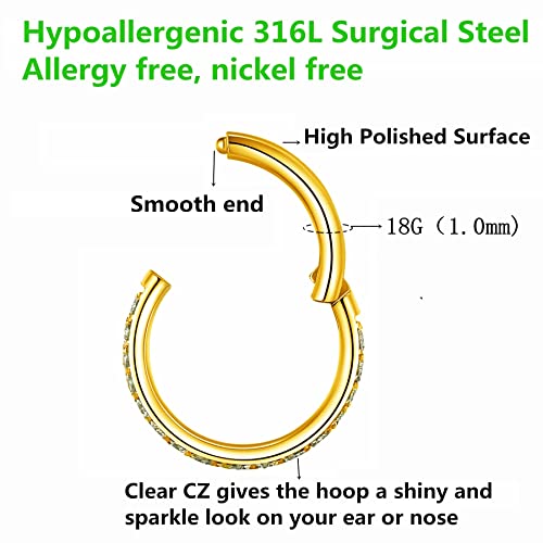 BLESSMYLOVE Clear CZ Nose Rings Hoop 316L Surgical Steel Cartilage Earrings Conch Daith Helix Rook Tragus Lobe Snug Body Piercing Jewelry 20G 18G 16G Stainless Steel Hinged Segment Rings Lip Rings