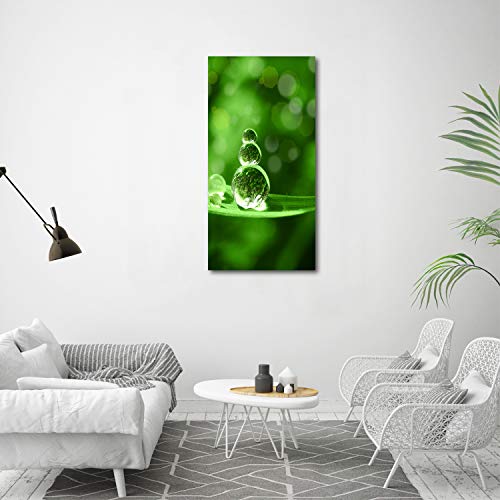 Tableau plexiglas vert 60x120 cm herbe Tulup