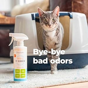 Oxyfresh Premium Pet Odor Eliminator – Say Goodbye to Stinky Dog and Cat Odors – Non-Toxic – Perfect for Dog Beds, Carpets, Cat Litter Boxes & Anywhere Stinky,16 oz.