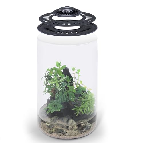 SubstrateSource Bio Cylinder - Kit de terrario de vidrio para plantas - Terrario de vidrio con luz LED de crecimiento, tapa de ventilación ajustable, sustrato, musgo y rocas decorativas - Bio Cylinder SubstrateSource Bio Cylinder - Kit de terrario de vidrio para plantas - Terrario de vidrio con luz LED de crecimiento, tapa de ventilación ajustable, sustrato, musgo y rocas decorativas - Bio Cylinder