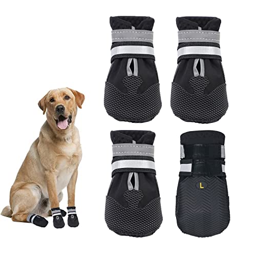 Dricar Dog Shoes