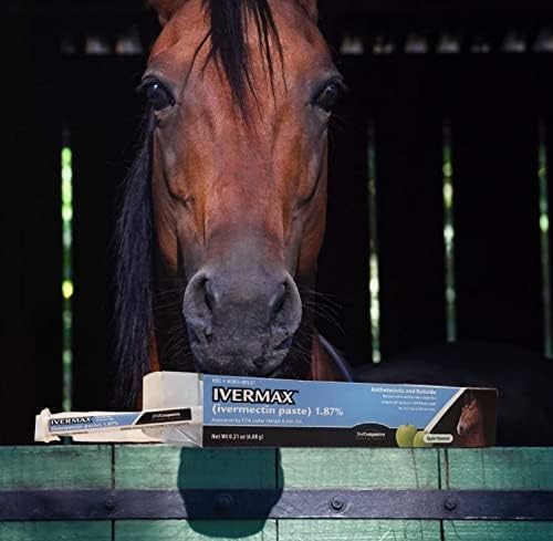 First Companion Pasta para equinos Ivermax (Ivermectina) 6,08 gramas, 1 pacote, azul