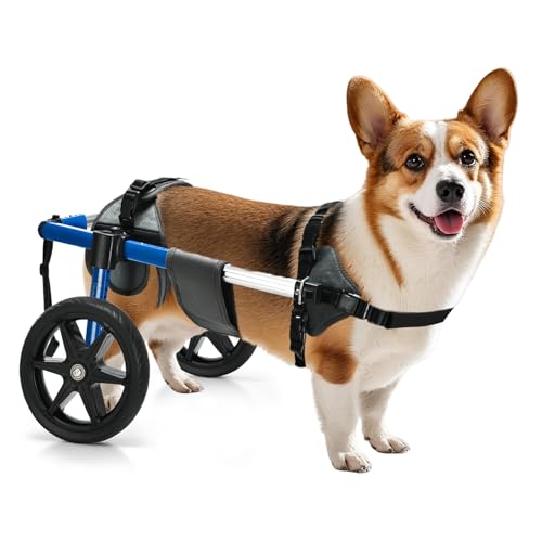 Virbraroo Adjustable Wheelchair for Medium Dogs