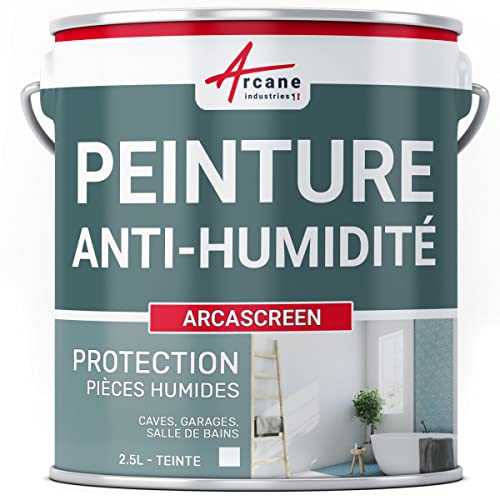 ARCANE INDUSTRIES Peinture Anti Humidité et Moisissure - Anti Condensation Salle de Bain,...