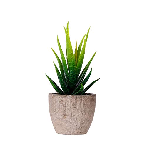 VOSAREA 2 peças de plantas suculentas artificiais Aloe em vaso de flores cafeteria decoração escolar