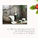 RITUALS The Ritual of Jing Barritas aromáticas, 230 ml