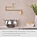 Fonveth Brushed Gold Wall Mounted Pot Filler Kitchen Faucet, Dual Handles, 1/2 IPS Male Threaded - 14 NPT inlet