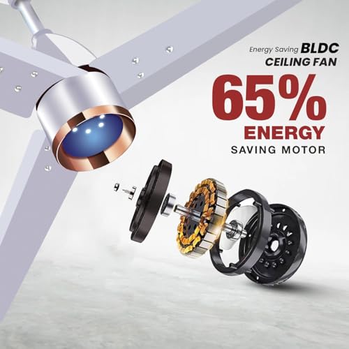 Image of Blueberry's ๐๐๐๐ 1200mm Ceiling Fan with Remote Control, BEE ๐ฑ-๐ฆ๐๐ฎ๐ฟ Rated Energy Efficient Ceiling Fan, High Air Delivery with LED Indicators, 3-Year Warranty (Royal White)