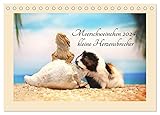 ch teddy meerschweinchen kaufen NACHHALTIG - deutliche Abfallreduzierung durch bedarfsgerechte Einzelstückfertigung, umweltfreundliches FSC-zertifiziertes Papier, Produktion in Deutschland, klimabewusste Logistik.